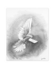 The Dove
