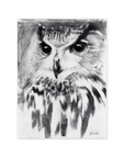 The Owl