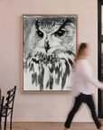 The Owl