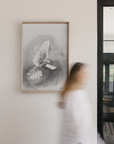 The Dove